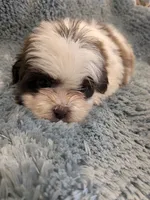 processed/0eb9aa89-e263-4c8d-ac75-bfbdc6cdd342/listing/e274640b-2370-46fe-8fdc-f13797f66103/c4d932e0-4b44-4cd4-8ce3-286321bc6d83