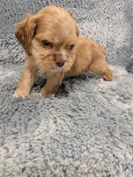 processed/0eb9aa89-e263-4c8d-ac75-bfbdc6cdd342/listing/f31713fc-223f-46ba-9050-1f4f8338556c/91f70b6c-e28c-48ce-bd4f-1c522dfdf140