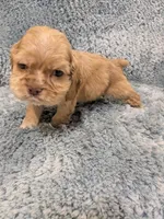 processed/0eb9aa89-e263-4c8d-ac75-bfbdc6cdd342/listing/f31713fc-223f-46ba-9050-1f4f8338556c/e5bde4c0-c515-4245-b06d-5ef6c1b8ee8d