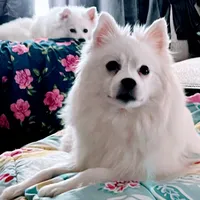 processed/0ebaf48e-76b1-4393-a198-6bdd855f6ddc/facility/67f031bd-fca5-4c6d-8435-f63501ab41c9