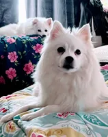 processed/0ebaf48e-76b1-4393-a198-6bdd855f6ddc/facility/67f031bd-fca5-4c6d-8435-f63501ab41c9