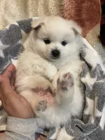 processed/0ebaf48e-76b1-4393-a198-6bdd855f6ddc/listing/5394a05f-8c68-481b-8c11-1b0164a33915/13969e96-00df-4bd1-ae14-acc3593f47d7