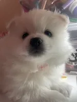 processed/0ebaf48e-76b1-4393-a198-6bdd855f6ddc/listing/5394a05f-8c68-481b-8c11-1b0164a33915/4766f9db-c583-4626-bf66-2e13ec09eb62