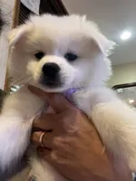 processed/0ebaf48e-76b1-4393-a198-6bdd855f6ddc/listing/5394a05f-8c68-481b-8c11-1b0164a33915/7b65c0d3-0b2c-4e40-a187-0a131e5ab076