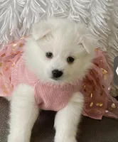 processed/0ebaf48e-76b1-4393-a198-6bdd855f6ddc/listing/5394a05f-8c68-481b-8c11-1b0164a33915/906ed6a6-b784-46bb-b9d8-2782a1891cda