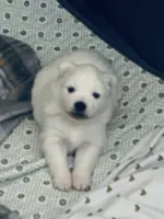 processed/0ebaf48e-76b1-4393-a198-6bdd855f6ddc/listing/5394a05f-8c68-481b-8c11-1b0164a33915/c92325af-b889-44e8-b1aa-83d80788408b