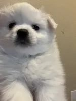 processed/0ebaf48e-76b1-4393-a198-6bdd855f6ddc/listing/5394a05f-8c68-481b-8c11-1b0164a33915/d5a9158f-7318-408f-b335-b2e37be52b40