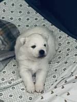 processed/0ebaf48e-76b1-4393-a198-6bdd855f6ddc/listing/5394a05f-8c68-481b-8c11-1b0164a33915/e1d29f0d-1e9c-4352-9cf3-40ba60236191