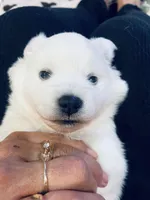 processed/0ebaf48e-76b1-4393-a198-6bdd855f6ddc/listing/d7599d55-0363-4a5e-9bbb-a8598b756da9/07e82b82-64d8-459b-8678-79cb2a6811c1