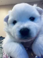 processed/0ebaf48e-76b1-4393-a198-6bdd855f6ddc/listing/d7599d55-0363-4a5e-9bbb-a8598b756da9/332637b0-4331-4aa9-82de-7c63da86e985