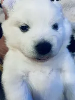 processed/0ebaf48e-76b1-4393-a198-6bdd855f6ddc/listing/d7599d55-0363-4a5e-9bbb-a8598b756da9/42dd0469-6121-43ff-ac85-67b3879ed40a