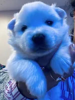 processed/0ebaf48e-76b1-4393-a198-6bdd855f6ddc/listing/d7599d55-0363-4a5e-9bbb-a8598b756da9/bfcefa8f-ba2f-4060-9ba1-85a728288616