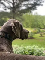 processed/0ebc4622-09ce-402b-a1a4-5534d2d94338/facility/03f3e6e3-904e-4783-80dc-19f03170abb3