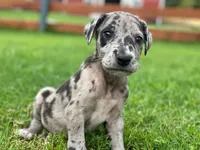 processed/0ebc4622-09ce-402b-a1a4-5534d2d94338/facility/654d8447-1927-45bc-ae26-cb587eb60ee1