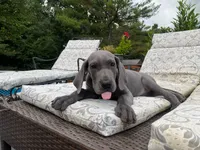 processed/0ebc4622-09ce-402b-a1a4-5534d2d94338/facility/984ec94a-6a3a-4881-83e1-783103bfebbc