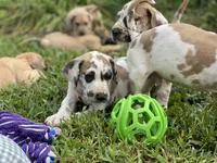 processed/0ebc4622-09ce-402b-a1a4-5534d2d94338/facility/9b262472-3d42-4dc4-a933-5c1beead6b91