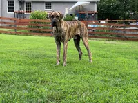 processed/0ebc4622-09ce-402b-a1a4-5534d2d94338/facility/af696d81-71c8-4261-a69c-4daff99054a6