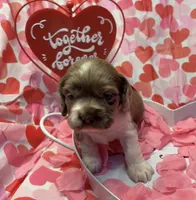 processed/0ec742b2-40e6-472f-af87-a86633fd89b6/listing/52eccb10-8360-4fb1-80b5-291f7a8bce93/46d54d81-6743-4312-9786-3b2d16d56dfb