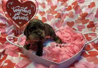 processed/0ec742b2-40e6-472f-af87-a86633fd89b6/listing/8bf449bc-229c-4b8f-bcb4-c991493dba67/6b0d0930-e9a1-44d7-b0ec-d83fbf1b0023