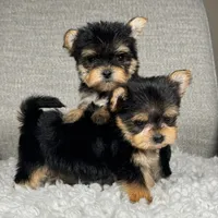 processed/0eca31ee-98e7-4505-9157-d27ec416c678/facility/840c8fac-ff60-4e7a-9156-c269ca2c5e48