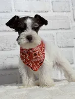 processed/0eca31ee-98e7-4505-9157-d27ec416c678/listing/abb83869-680d-4d26-9195-4759316d4d51/2a5f6551-88f8-49f7-8219-f6a25226981b