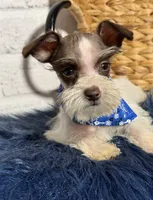 processed/0eca31ee-98e7-4505-9157-d27ec416c678/listing/abb83869-680d-4d26-9195-4759316d4d51/3301a40e-6363-4c15-bd5d-93a1aaef7508