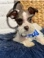 processed/0eca31ee-98e7-4505-9157-d27ec416c678/listing/abb83869-680d-4d26-9195-4759316d4d51/5b23962c-5b96-4464-a09a-4af7d1b82c66