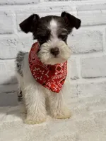 processed/0eca31ee-98e7-4505-9157-d27ec416c678/listing/abb83869-680d-4d26-9195-4759316d4d51/745c7a53-001b-47dc-ad1a-fdf310867f67