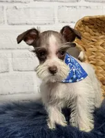 processed/0eca31ee-98e7-4505-9157-d27ec416c678/listing/abb83869-680d-4d26-9195-4759316d4d51/b01e0b17-32cf-44de-b147-4b88d6134af9