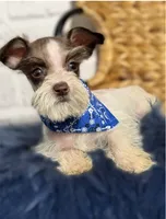 processed/0eca31ee-98e7-4505-9157-d27ec416c678/listing/abb83869-680d-4d26-9195-4759316d4d51/b75a5709-5e2b-4163-bc07-f393a5ae654e