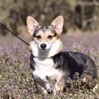 processed/0ecc711e-141d-494d-84fb-11d31f8960e2/facility/23146504-3438-437f-bfc0-017a5df50a52