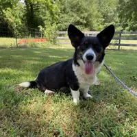 processed/0ecc711e-141d-494d-84fb-11d31f8960e2/facility/4503ec36-af48-4cd0-a5e7-4c40bbd62373