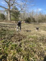 processed/0ecc711e-141d-494d-84fb-11d31f8960e2/facility/5deb31b8-6a4f-4c2f-a7a6-9403f0a91457