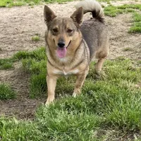 processed/0ecc711e-141d-494d-84fb-11d31f8960e2/facility/7c9d8b9e-c722-407c-82ca-00035e87ec39