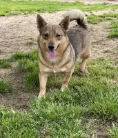 processed/0ecc711e-141d-494d-84fb-11d31f8960e2/facility/7c9d8b9e-c722-407c-82ca-00035e87ec39