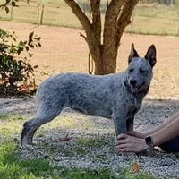 processed/0ecc711e-141d-494d-84fb-11d31f8960e2/facility/7d4197f9-c877-42aa-ac79-f7471d098fc9