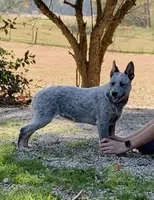 processed/0ecc711e-141d-494d-84fb-11d31f8960e2/facility/7d4197f9-c877-42aa-ac79-f7471d098fc9