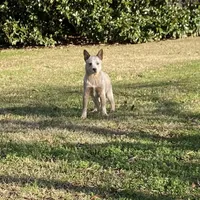 processed/0ecc711e-141d-494d-84fb-11d31f8960e2/facility/8c2e5733-b45f-4205-bbcd-5dbd4b8bab38