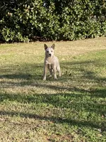 processed/0ecc711e-141d-494d-84fb-11d31f8960e2/facility/8c2e5733-b45f-4205-bbcd-5dbd4b8bab38