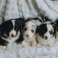 processed/0ecc711e-141d-494d-84fb-11d31f8960e2/facility/bf854d34-f53a-441c-8064-551f977b8bd6