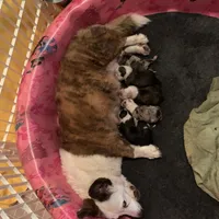 processed/0ecc711e-141d-494d-84fb-11d31f8960e2/facility/d3dad8ff-37f2-4be4-96cb-87235fc79701