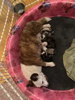 processed/0ecc711e-141d-494d-84fb-11d31f8960e2/facility/d3dad8ff-37f2-4be4-96cb-87235fc79701