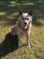 processed/0ecc711e-141d-494d-84fb-11d31f8960e2/listing/1019d0c6-0204-459e-961d-935cbcf7cd29/7ac0241e-7e05-4e3f-9643-1ad1510ca665