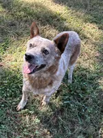 processed/0ecc711e-141d-494d-84fb-11d31f8960e2/listing/1019d0c6-0204-459e-961d-935cbcf7cd29/a7ea308c-cd5b-4553-82e2-f401ce698a85