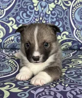 processed/0ecc711e-141d-494d-84fb-11d31f8960e2/listing/26329b1a-8985-41b1-996d-8b25d7612349/0a806bc0-3162-4e49-a034-3461503c33e5