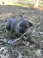 processed/0ecc711e-141d-494d-84fb-11d31f8960e2/listing/52f6d76c-74a6-4f4f-81b9-461bdde7c1ab/0e918930-bf7a-4f32-a41f-4ea006009c36