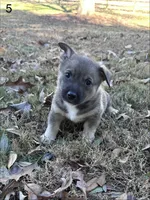 processed/0ecc711e-141d-494d-84fb-11d31f8960e2/listing/52f6d76c-74a6-4f4f-81b9-461bdde7c1ab/0f94ae5a-1b0a-40a3-bab6-d16a43f8e507