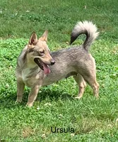 processed/0ecc711e-141d-494d-84fb-11d31f8960e2/listing/52f6d76c-74a6-4f4f-81b9-461bdde7c1ab/15dd2302-d54a-44aa-8fe8-bae42a39c718