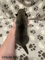 processed/0ecc711e-141d-494d-84fb-11d31f8960e2/listing/52f6d76c-74a6-4f4f-81b9-461bdde7c1ab/4afb355e-4828-4eab-9e9f-549415bb0335