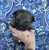 processed/0ecc711e-141d-494d-84fb-11d31f8960e2/listing/52f6d76c-74a6-4f4f-81b9-461bdde7c1ab/4beb119d-e023-4fca-826b-0c8148e9c4fe